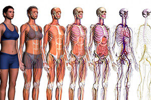 CONOSCERE L'OSTEOPATIA: CHIARIMENTI ED IMPLICAZIONI DEL PRINCIPIO DI UNITA'