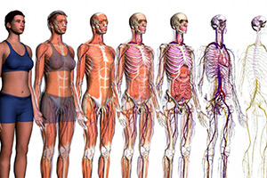 CONOSCERE L'OSTEOPATIA: CHIARIMENTI ED IMPLICAZIONI DEL PRINCIPIO DI UNITA'